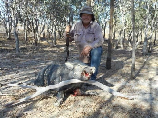 FERAL PIGS A THREAT TO THE ENVIRONMENT? NO KIDDING!