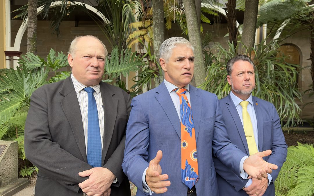 Labor-controlled supermarket inquiry nothing but a waste of time and money:  Katter